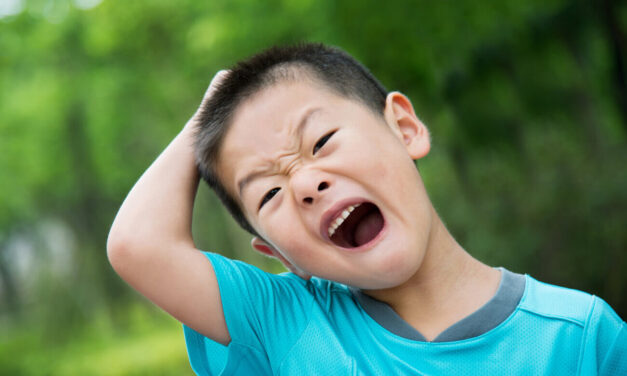 Behavior Training